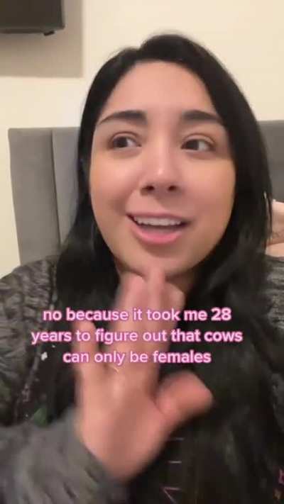 cows and bulls