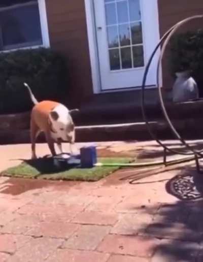 to drink water