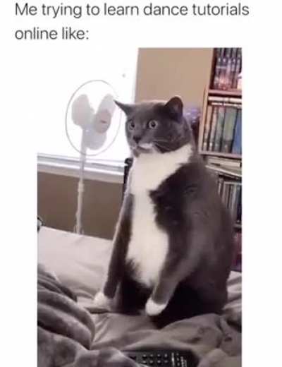 i suck at learning