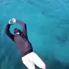 A majestic dive