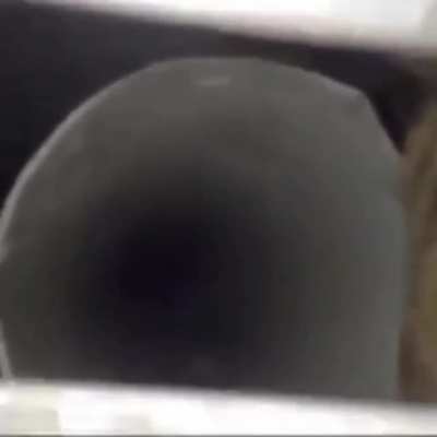 Creature from the air vent