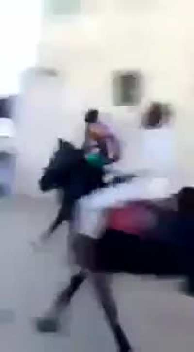 Street horse race goes chaotic