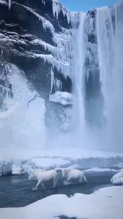Skogafoss Waterfall Iceland