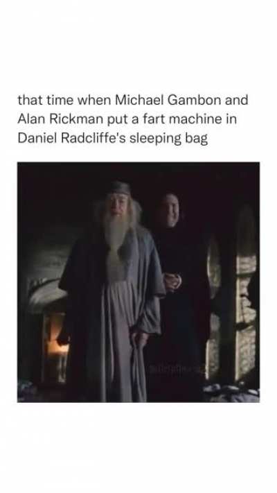 Dumbledore and Snape be wilding
