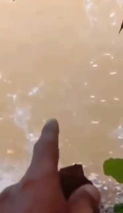 uhhh ok. no swimming for me