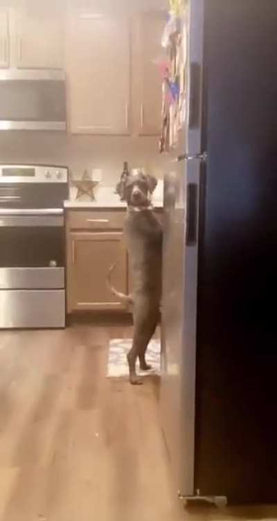 "Oh dang, they're onto me... time to act normal"