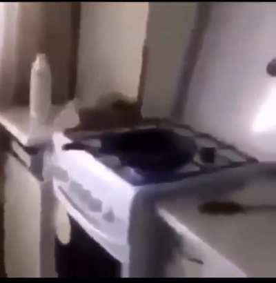 trying to cook