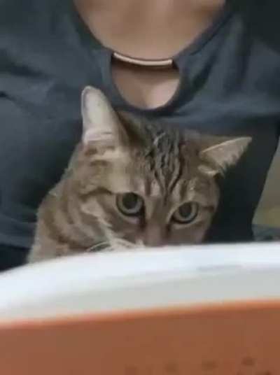 "Turn the page, I've already finished reading here."