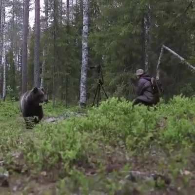 Photographer encounters a bear in the forest during a shoot