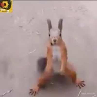 Dance?