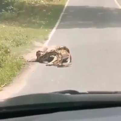 Maybe maybe maybe