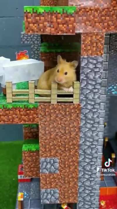Minecraft caves.. and , uh, a hamster