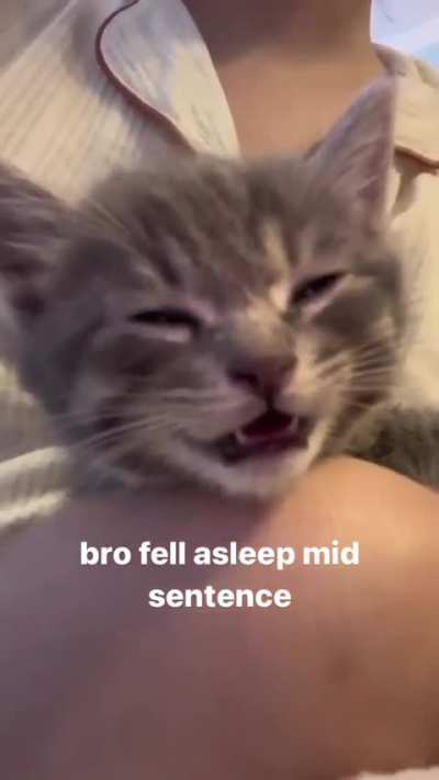 Falling asleep midsentence ??
