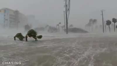 Hurricane Ian turns street into ?