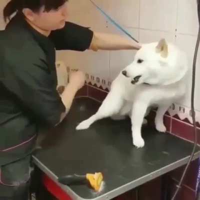 To stay aggressive