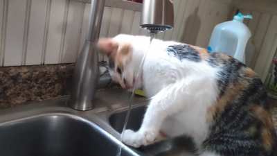 When you haven't quite mastered drinking...