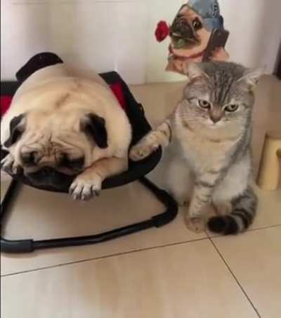Personal Nanny