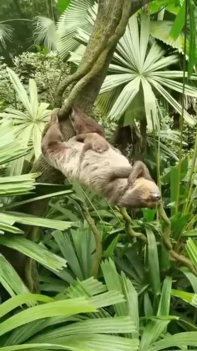 ?sleeping with mom