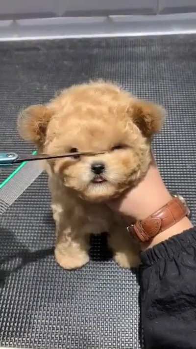 He can see again