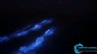 The way the wake and dolphins luminate