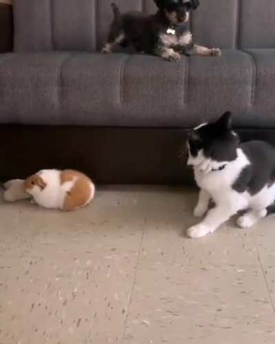 Don't Touch Her ??