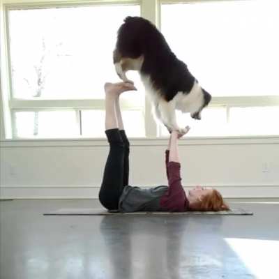 Doggo position