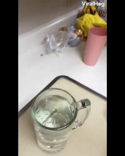 Spring Water