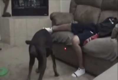 Rip his children