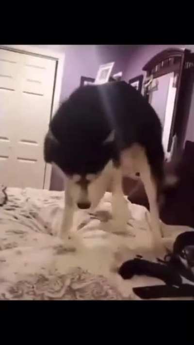 Spooked