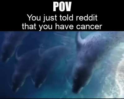 Wholesome barrage