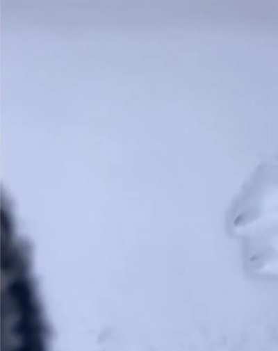 The snow is one cat deep