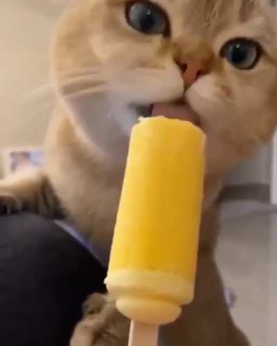 Wow, this tastes so goooood!