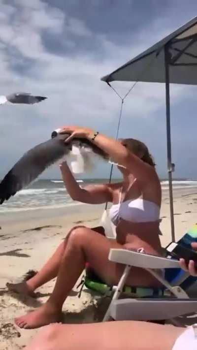 to eat