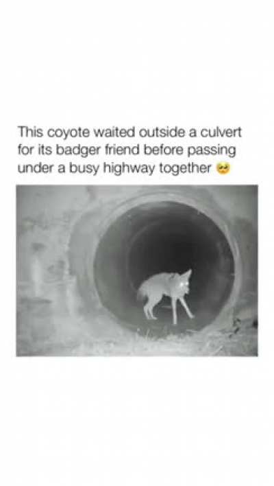 The most wholesome thing I’ve seen all day. ?