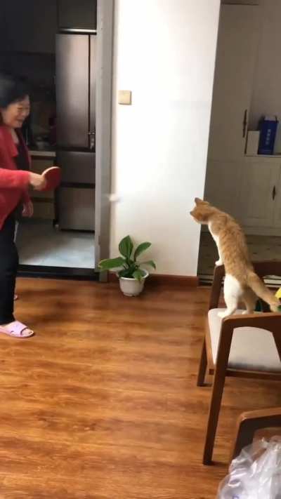 Bro is competitive
