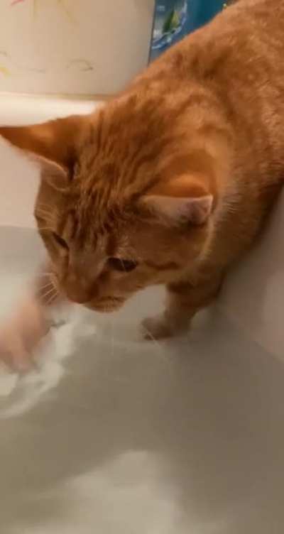 She’s practicing how to swim.