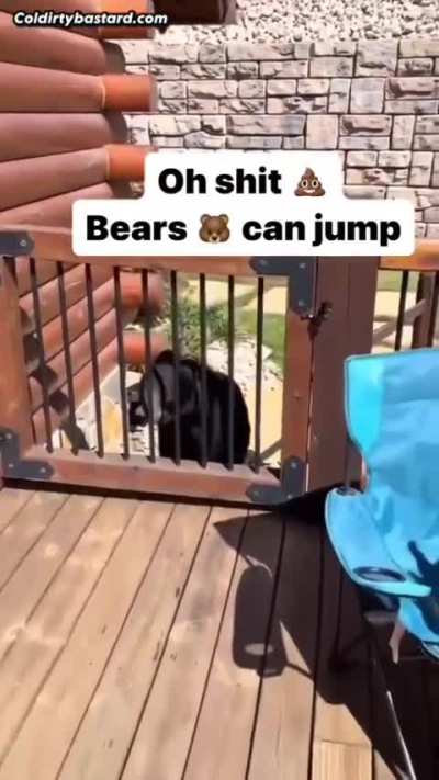Black bears can jump