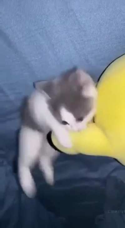 Gotta kick it fast