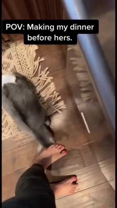 where's my food?