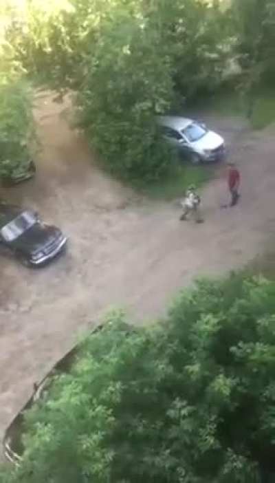 Lower, lawn mower!