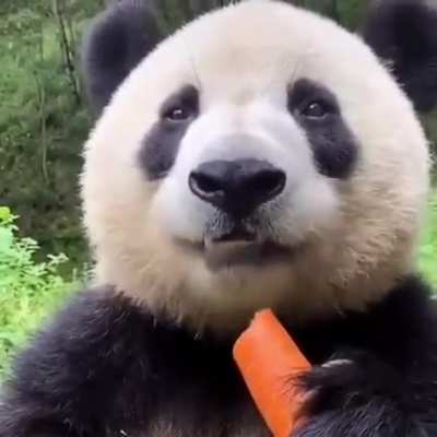 Po eating healthy