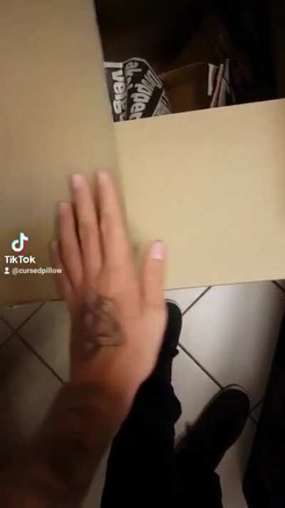 Tryna close the box