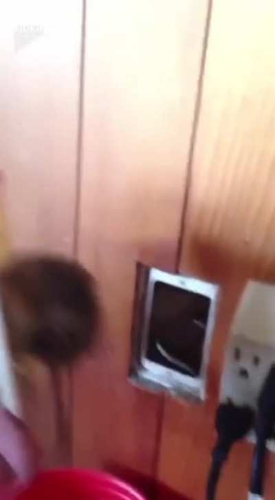"Hey lady, I found your internet problem"