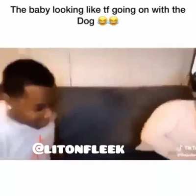 The kid was like, "WTF."