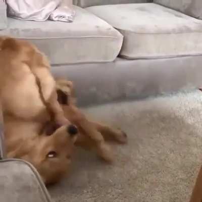 Derp attack