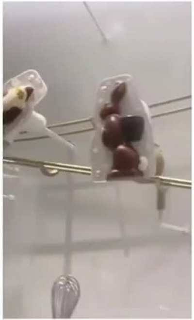 Machine at a Chocolate Factory in Switzerland (Not my video)