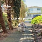 The happiness in this video is giving me diabetes