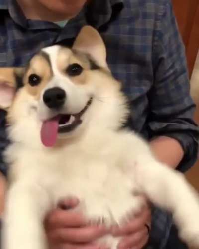 ?