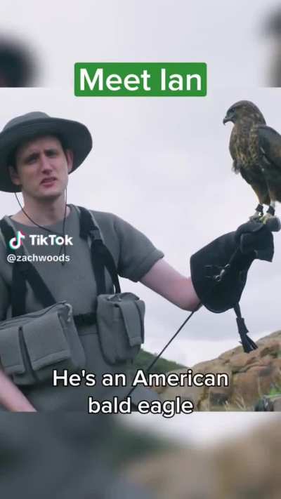 Zach Woods has joined TikTok and it’s just what we needed