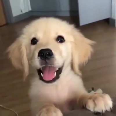 ... And smile.